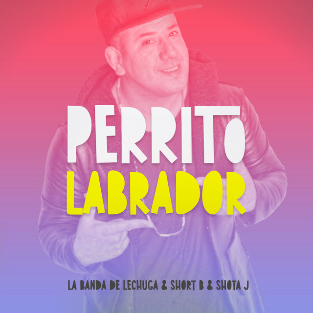 Perrito Labrador
