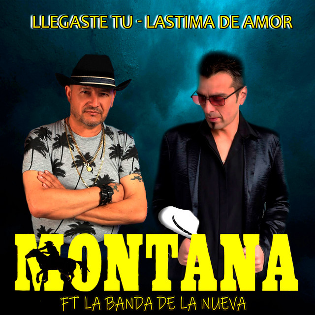 Llegaste Tu / Lastima de Amor
