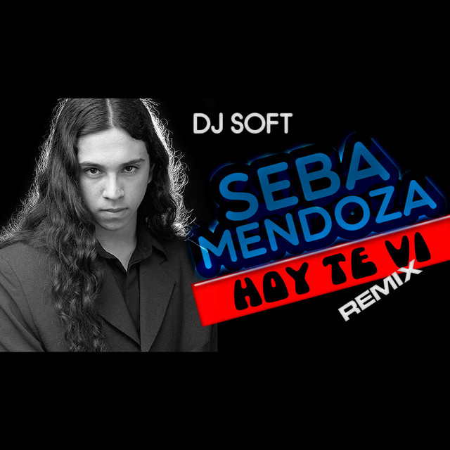 Hoy Te Vi (Remix)