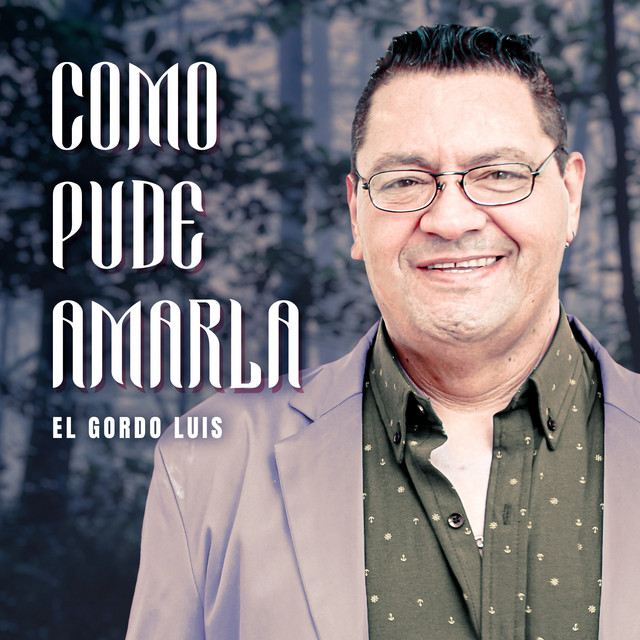 Como Pude Amarla