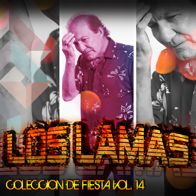 Colección de Fiesta (Vol. 14)