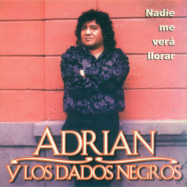 Nadie me Verá Llorar