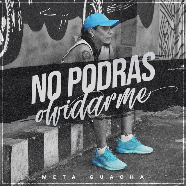 No Podrás Olvidarme