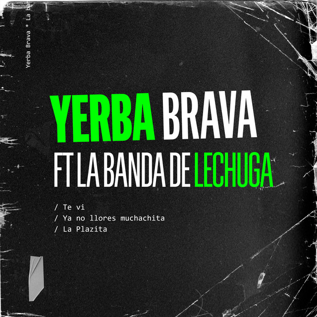 Te Vi / Ya No Llores Muchachita / La Plazita