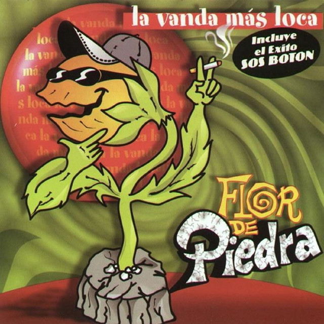 Flor De Piedra band photo